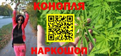 сатива Кулебаки